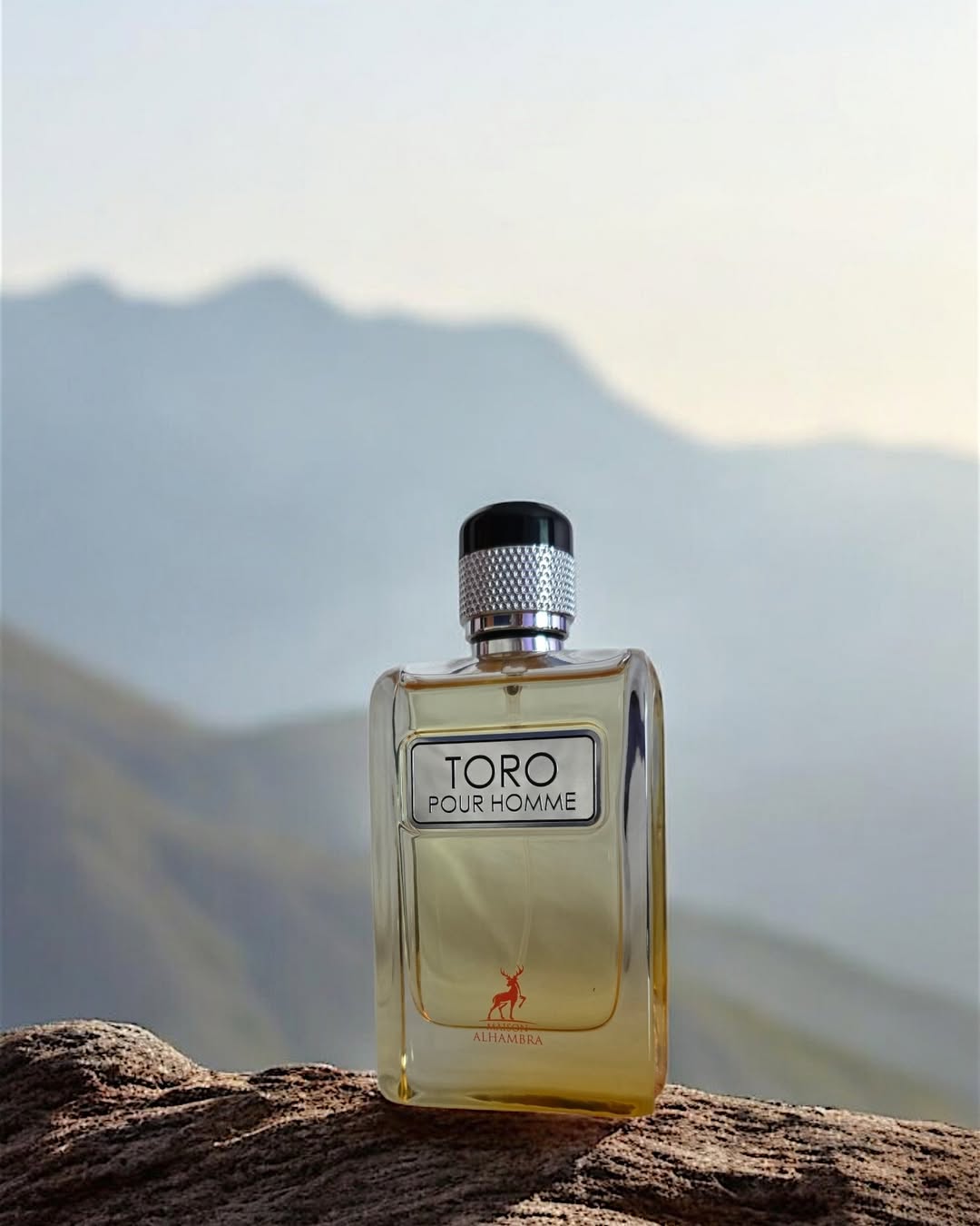 Toro