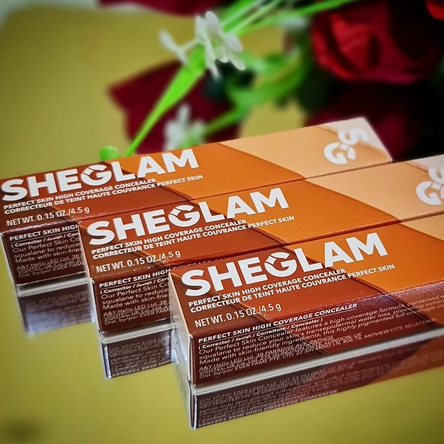 Perfect Skin High Coverage Concealer